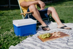 IGLOO Laguna 9 Cool Box Red -Outdoor Camping k1f3a131b236b6d90b2f3f9757c82df88