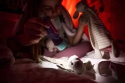 Ledlenser KidBEAM4 LED Hand Torch (Purple) 13 Ledlenser KidBEAM4 LED Hand Torch (Purple) -Outdoor Camping k59e29570618b7729d370bdca435a3048