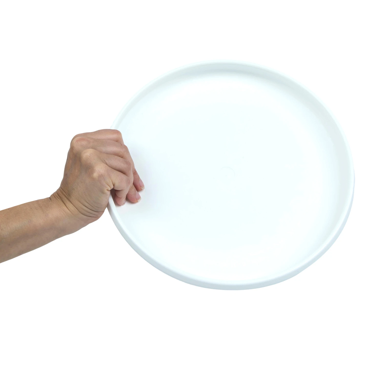 Plastic Ultimate Disc - Surf Illustration 4 Plastic Ultimate Disc - Surf Illustration - Image 4